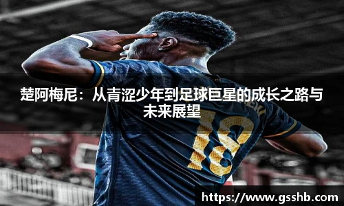 楚阿梅尼：从青涩少年到足球巨星的成长之路与未来展望
