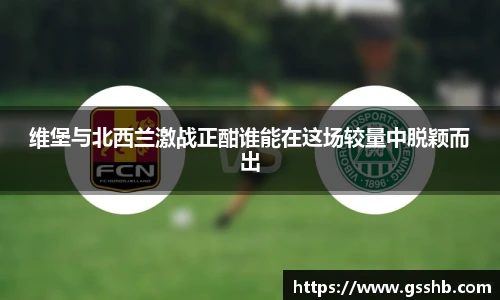 维堡与北西兰激战正酣谁能在这场较量中脱颖而出
